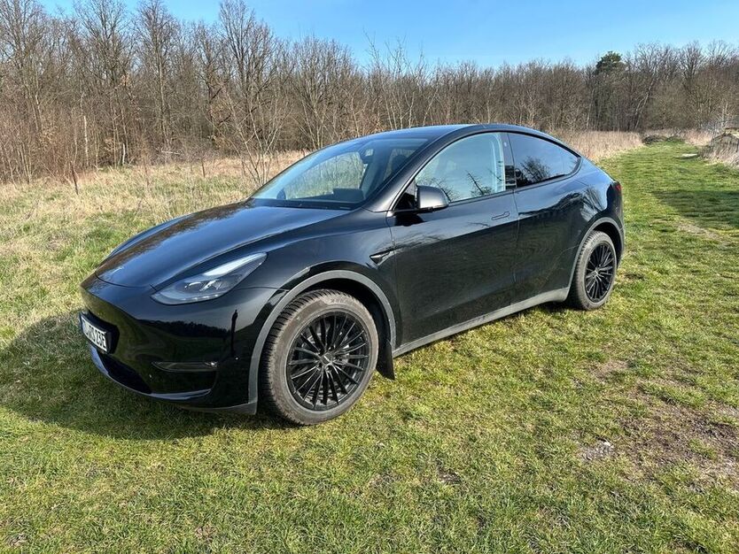 Model Y