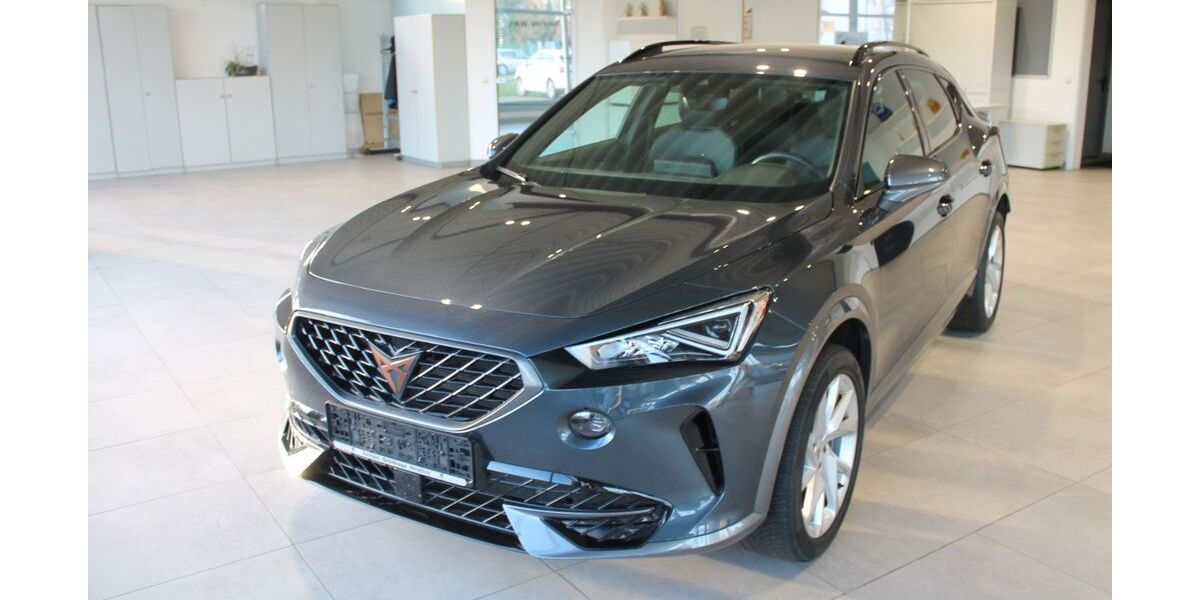 Cupra Formentor 41.200 km 22.800 &euro; Merseburg 06217