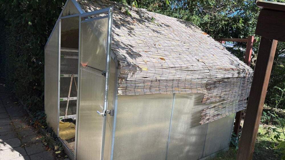 Doppelhaushälfte Leipzig Mockau-Nord - 3 Zimmer, 62 m&sup2;, 310.000&euro; | Angebot:25770730