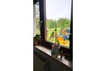 Bungalow Schkopau - 4 Zimmer, 95 m&sup2;, 255.000&euro; | Angebot:26456059