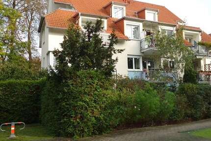 Wohnung zum Kaufen in Markkleeberg 175.000 € 54.56 m² 2 zimmer