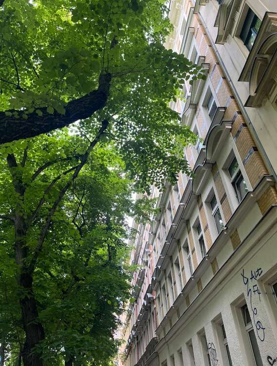 Wohnung zum Mieten in Leipzig 510 € 62 m²