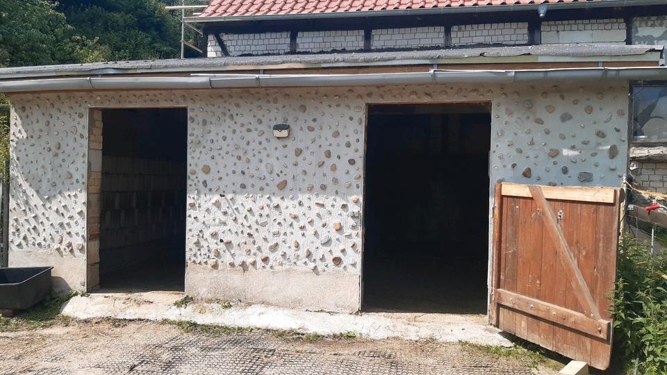 Mehrfamilienhaus, Wohnhaus Grimma - 12 Zimmer, 300 m&sup2;, 390.000&euro; | Angebot:26725209