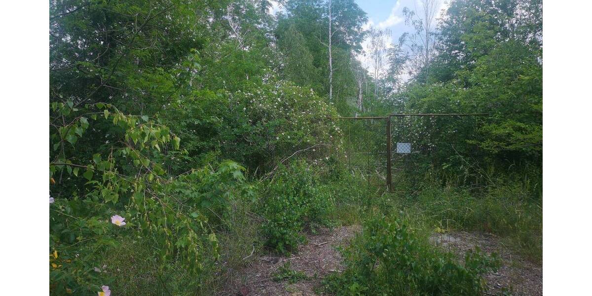 Grundstück Eilenburg - 2.999.000&euro; | Angebot:22496936