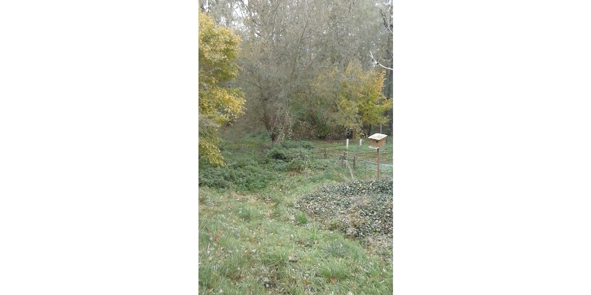 Bauernhaus, Landhaus Delitzsch - 5 Zimmer, 150 m&sup2;, 169.000&euro; | Angebot:26236455