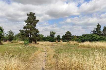 Grundstück Grimma Nerchau - 149.000&euro; | Angebot:25693062