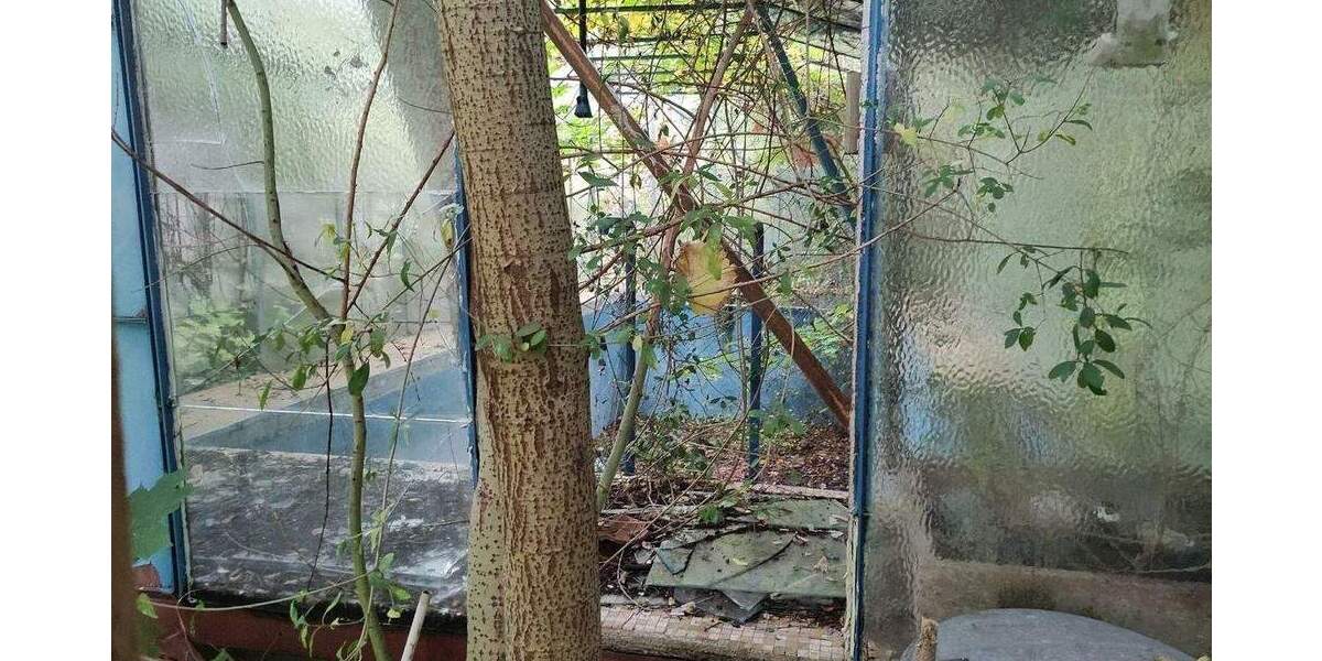 Grundstück Grimma Böhlen - 55.000&euro; | Angebot:25738692