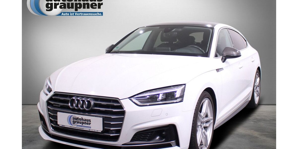 Audi A5 166.500 km 23.888 &euro; Brandis 04821