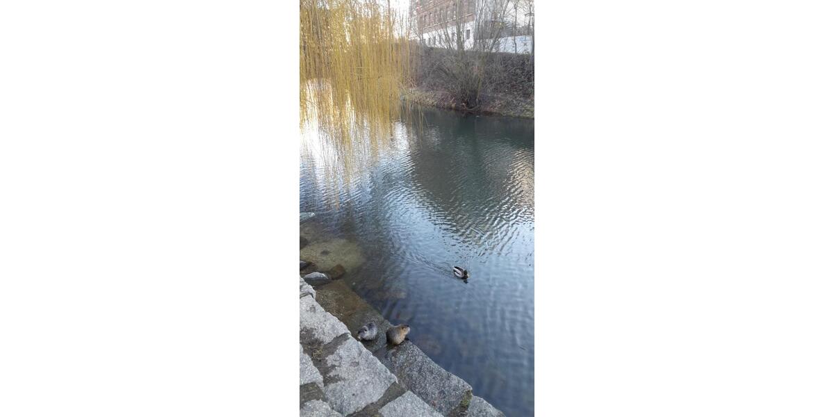 ALTBAU++ 2,5 ZIMMER CIITY LIVING AM KARL-HEINE-KANAL IN PLAGWITZ- 2 zimmer