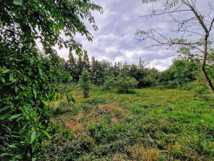 Grundstück zu verkaufen in Landsberg 129.900 € 2418 m²