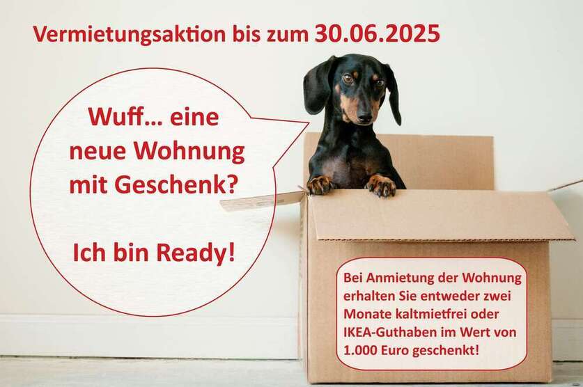 Wohnung zum Mieten in Halle (Saale) 430 € 59 m²