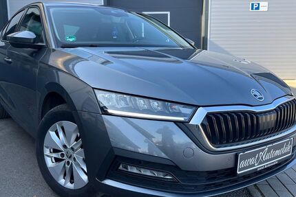 Skoda Octavia 169.062 km 16.599 &euro; Leipzig 04207