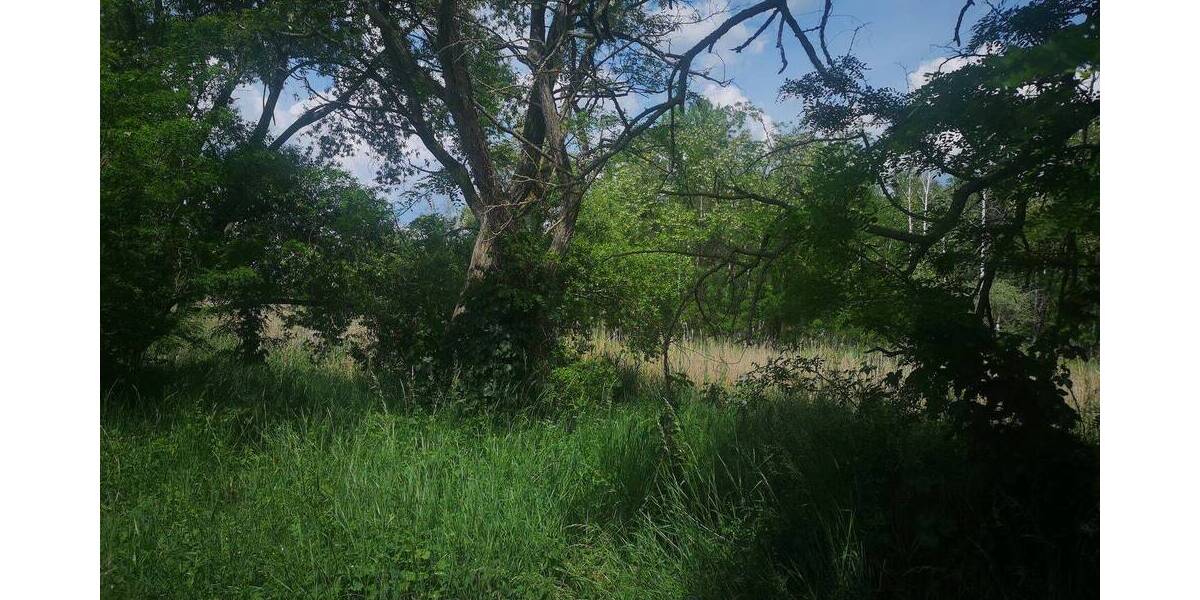 Grundstück Eilenburg - 2.999.000&euro; | Angebot:22496936