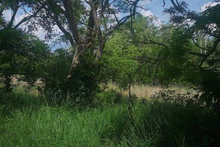 SHAREDEAL - ca. 4,5 ha großes Grundstück mit Bestandsgebäuden zimmer