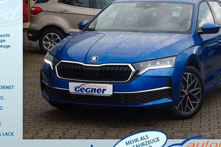 Skoda Octavia 20.616 km 25.740 &euro; Eilenburg 04838