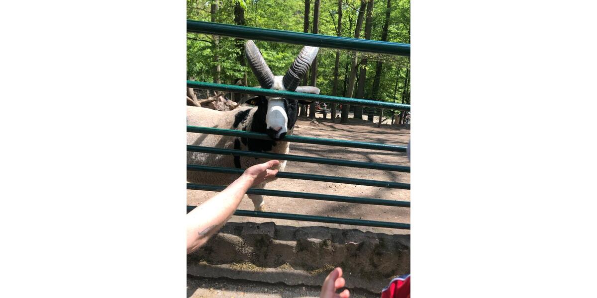 Bungalow Leipzig Altwest - 3 Zimmer, 70 m&sup2;, 70&euro; | Angebot:26190531