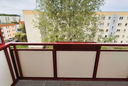 Wohnung Grimma - 1 Zimmer, 35 m&sup2;, 240&euro; | Angebot:27351763