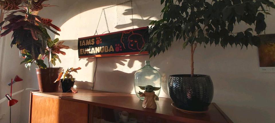 Etagenwohnung Leipzig Altwest - 1 Zimmer, 60 m&sup2;, 50&euro; | Angebot:26423245
