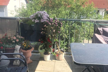 Wohnung zum Kaufen in Taucha 240.000 € 98 m² 4 zimmer