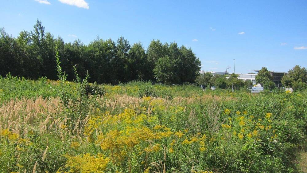 Gewerbegrundstück in guter Lage zimmer