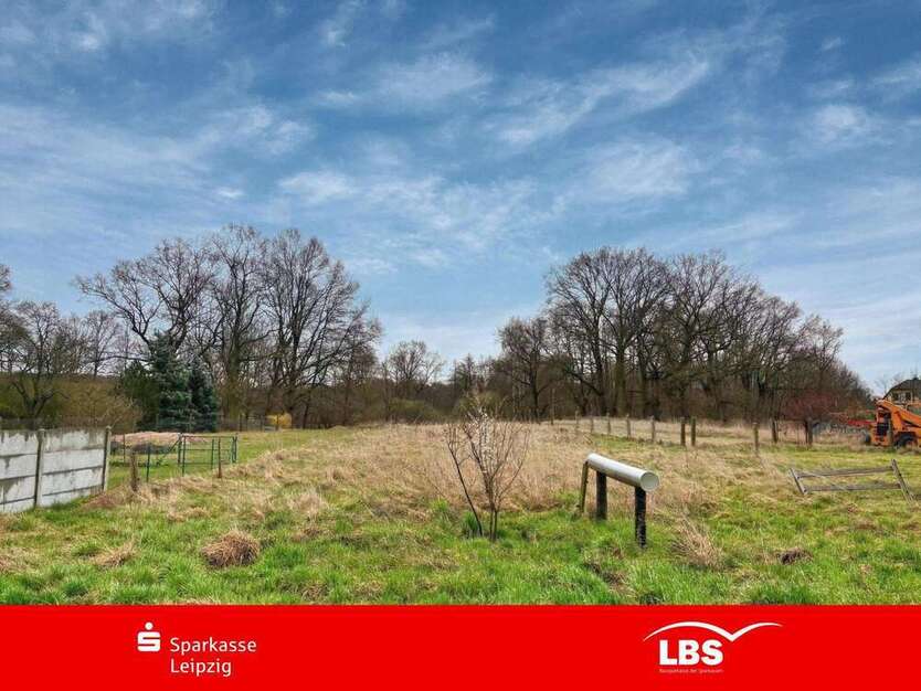 Grundstück zu verkaufen in Bad Düben 129.000 € 2355 m²