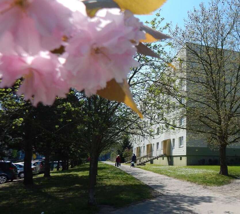 Wohnung zum Mieten in Schkeuditz 540 € 60 m²