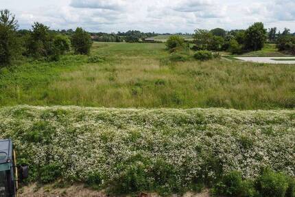 Baugrundstücke für Doppelhäuser in Taucha! zimmer