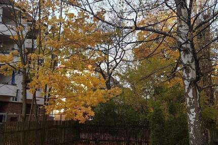 Wohnung Leipzig Reudnitz-Thonberg - 3 Zimmer, 83 m&sup2;, 890&euro; | Angebot:25744915