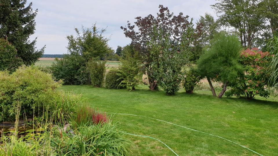 Einfamilienhaus Delitzsch - 4 Zimmer, 113 m&sup2;, 390.000&euro; | Angebot:27101859