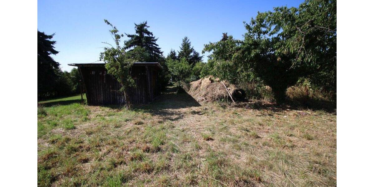 Traumhaft großes Grundstück in Tollwitz bei Markranstädt zum Traumhausbau! zimmer