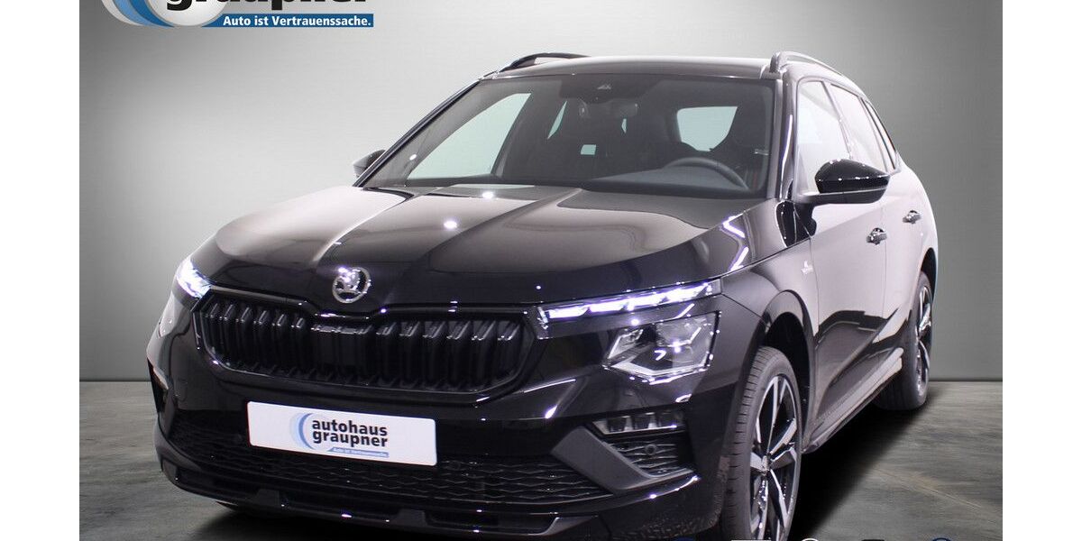 Skoda Kamiq 9.880 km 23.111 &euro; Brandis 04821