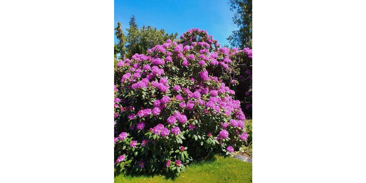 Mehrfamilienhaus, Wohnhaus Leipzig Lausen-Grünau - 5 Zimmer, 100 m&sup2;, 550.000&euro; | Angebot:25394767