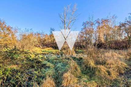 Grundstück in Borna 95.000 € 61204 m² zimmer