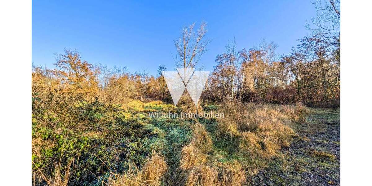 Grundstück in Borna 95.000 € 61204 m² zimmer