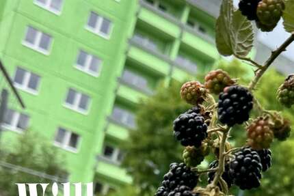 Wohnung zum Mieten in Rötha 272,25 € 36.3 m² 1 zimmer