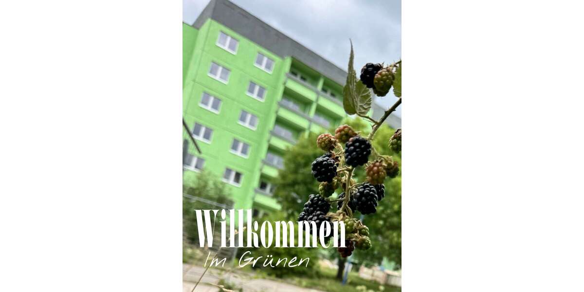 Wohnung zum Mieten in Rötha 272,25 € 36.3 m² 1 zimmer