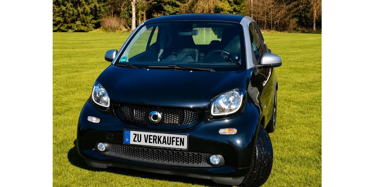 Smart ForTwo 110.000 km 9.500 &euro; Leipzig / Berlin / Limbach-Oberfrohna 09212
