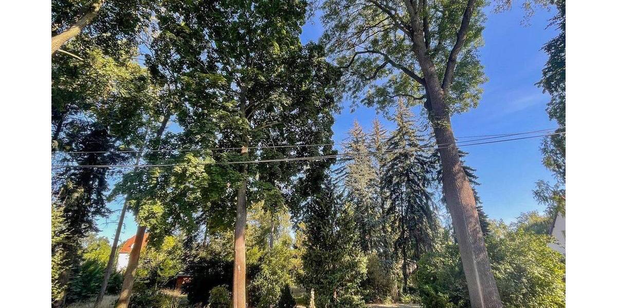 Grundstück Brandis Waldsteinberg - 269.000&euro; | Angebot:25748157