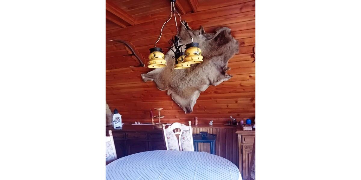 Einfamilienhaus Leipzig Nordost - 3 Zimmer, 80 m&sup2;, 50.000&euro; | Angebot:25357318