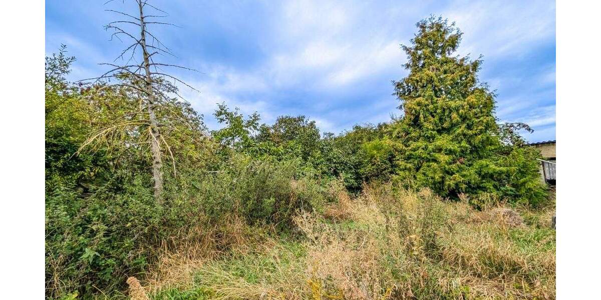 Grundstück Markranstädt Quesitz - 139.000&euro; | Angebot:25673709