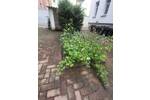 Etagenwohnung Eilenburg - 3 Zimmer, 76 m&sup2;, 623&euro; | Angebot:25684486