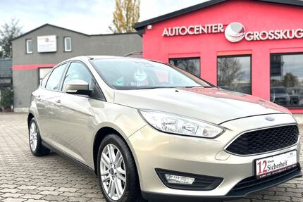 Ford Focus 41.356 km 12.999 &euro; Kabelsketal/OT Großkugel 06184
