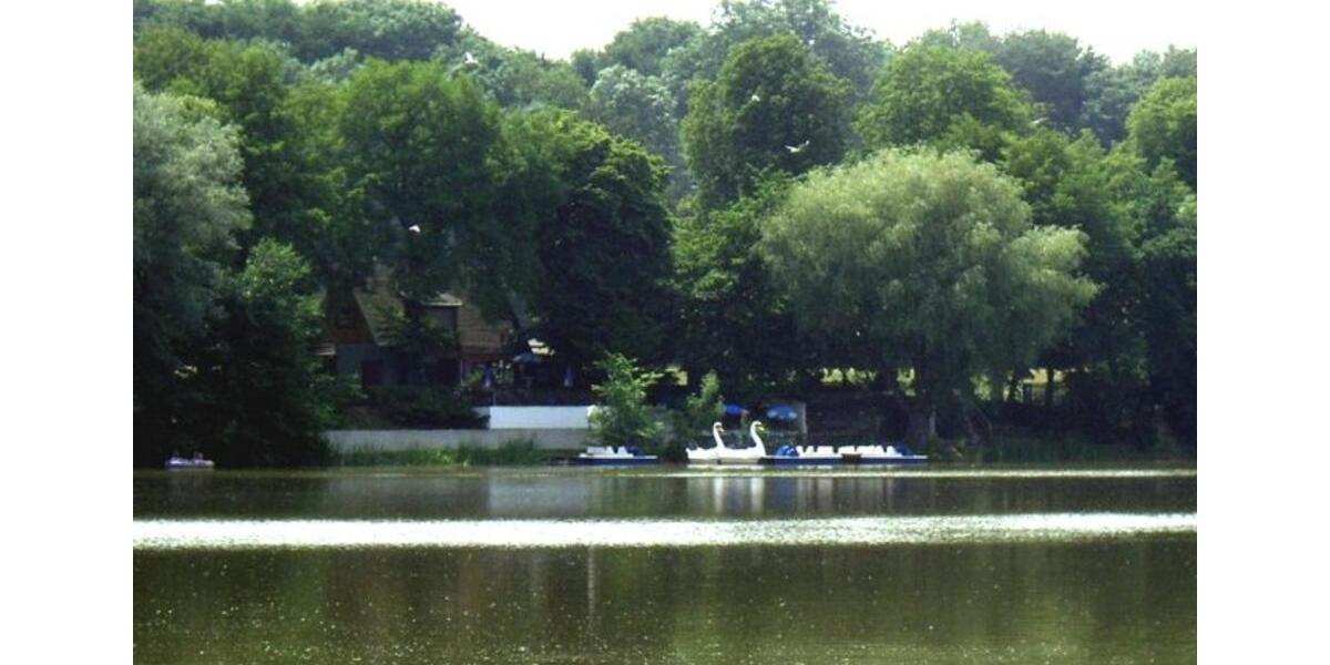 Etagenwohnung Leipzig Nordwest - 2 Zimmer, 64 m&sup2;, 599&euro; | Angebot:25597431