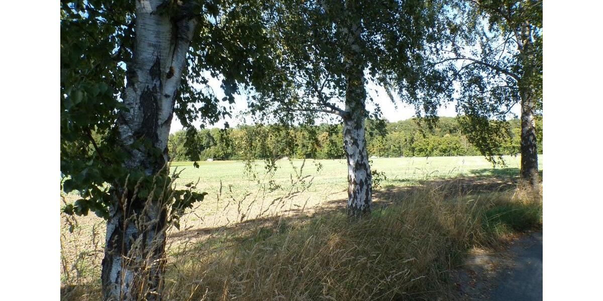 Bungalow Leipzig Nordost - 2 Zimmer, 63 m&sup2;, 560.000&euro; | Angebot:26138218