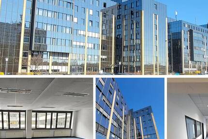 Großräumige und gestaltbare Bürofläche mit 14 Räumen in Leipzig Seehausen 1 zimmer