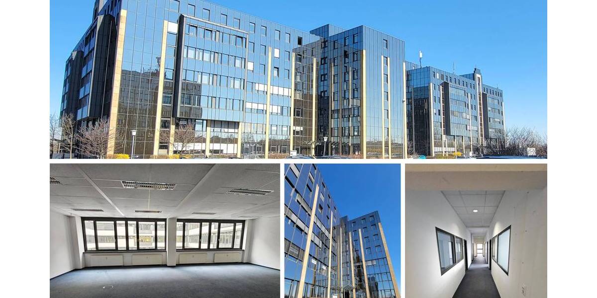 Großräumige und gestaltbare Bürofläche mit 14 Räumen in Leipzig Seehausen 1 zimmer