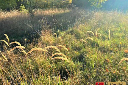 Grundstück Leipzig Holzhausen - 820.000&euro; | Angebot:25770691