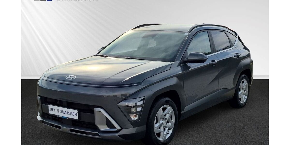 Hyundai KONA 16.480 km 23.980 &euro; Grimma 04668