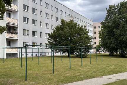 Wohnung zum Mieten in Bad Düben 348 € 58 m²