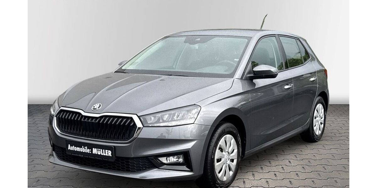 Skoda Fabia 16.682 km 17.890 &euro; Leipzig 04328